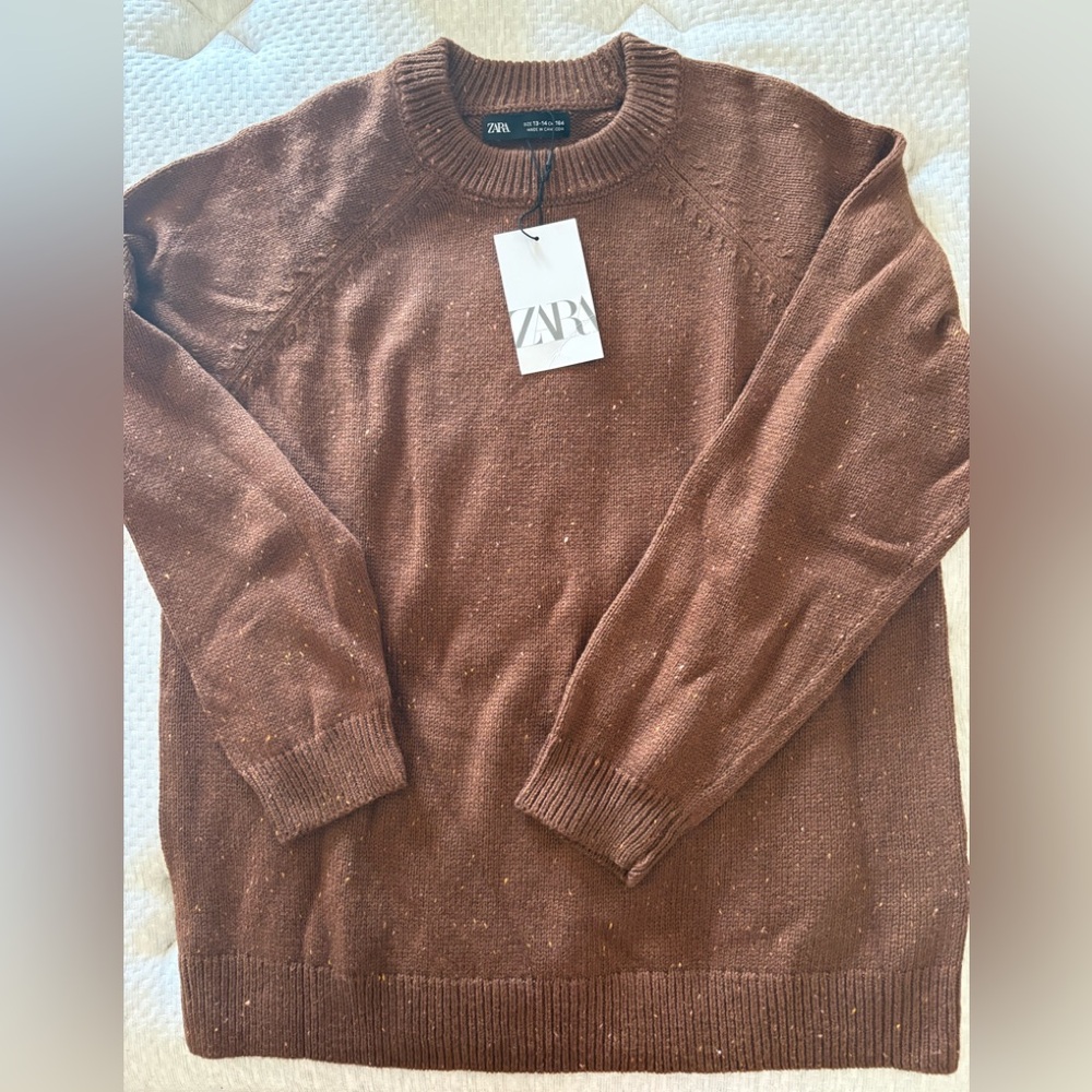 Zara Brown Knit Sweater NWT